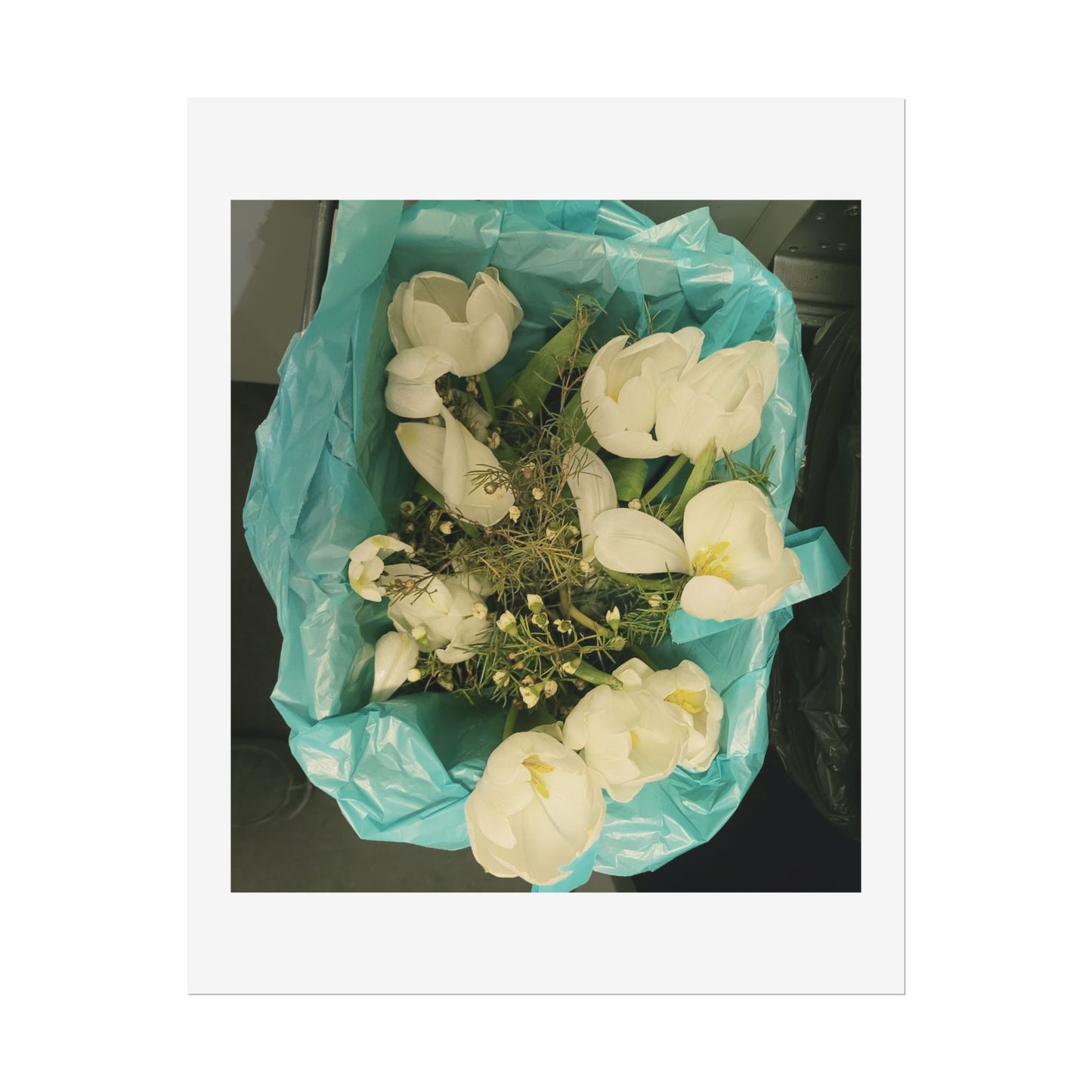 Botanical Rolled Posters, Floral Wall Art, Home Decor, Nature Decor, Gift for Flower Lovers, Unframed Prints