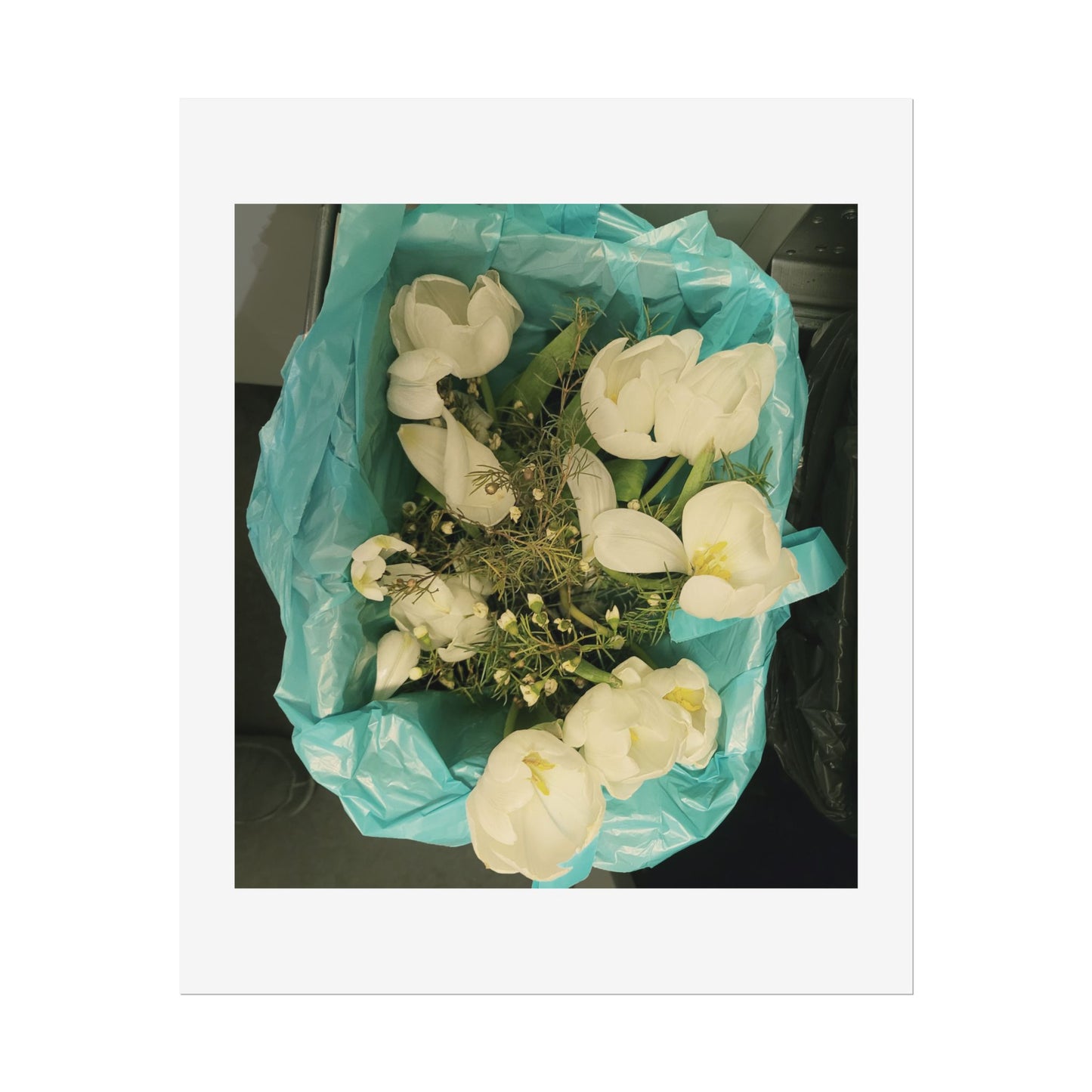 Botanical Rolled Posters, Floral Wall Art, Home Decor, Nature Decor, Gift for Flower Lovers, Unframed Prints