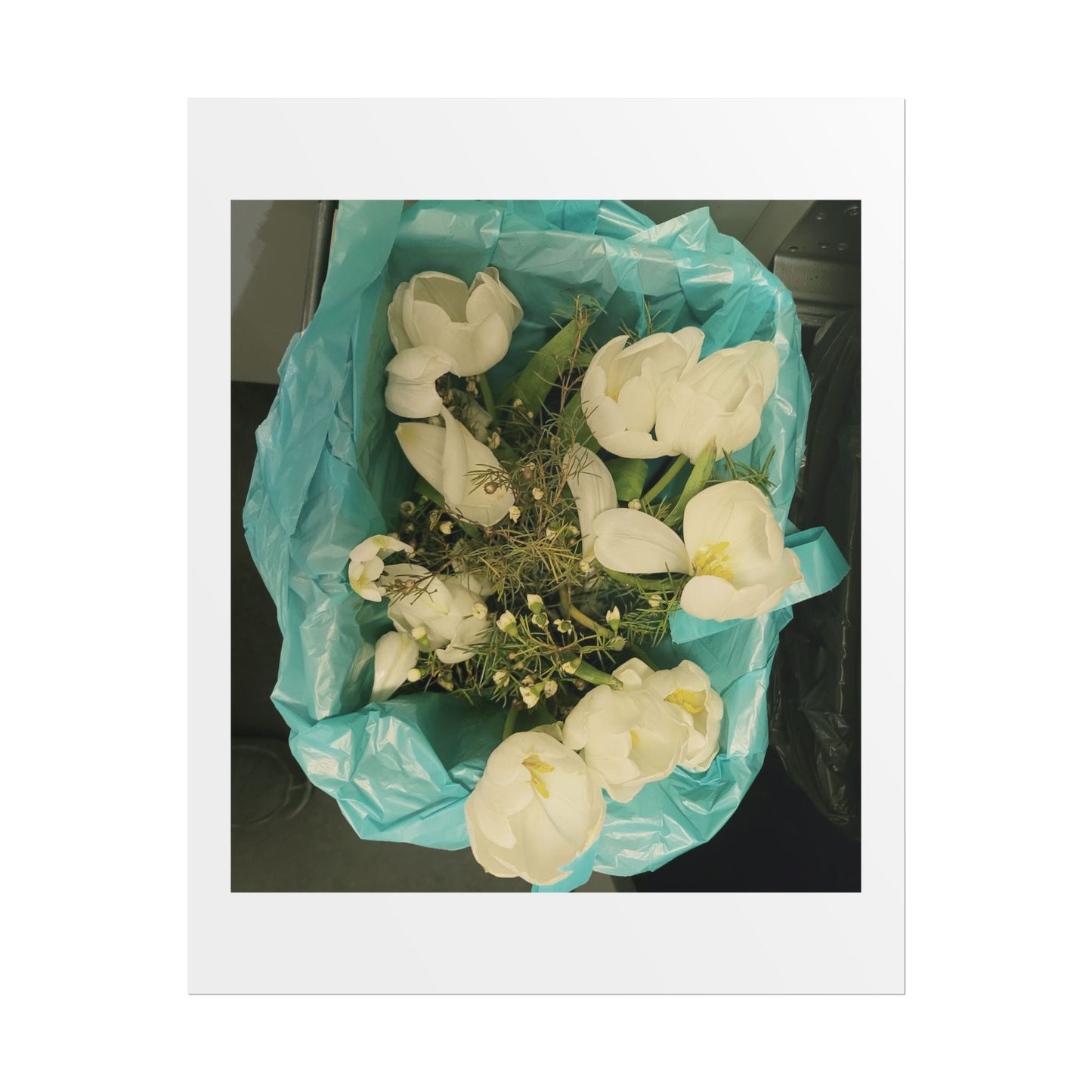 Botanical Rolled Posters, Floral Wall Art, Home Decor, Nature Decor, Gift for Flower Lovers, Unframed Prints