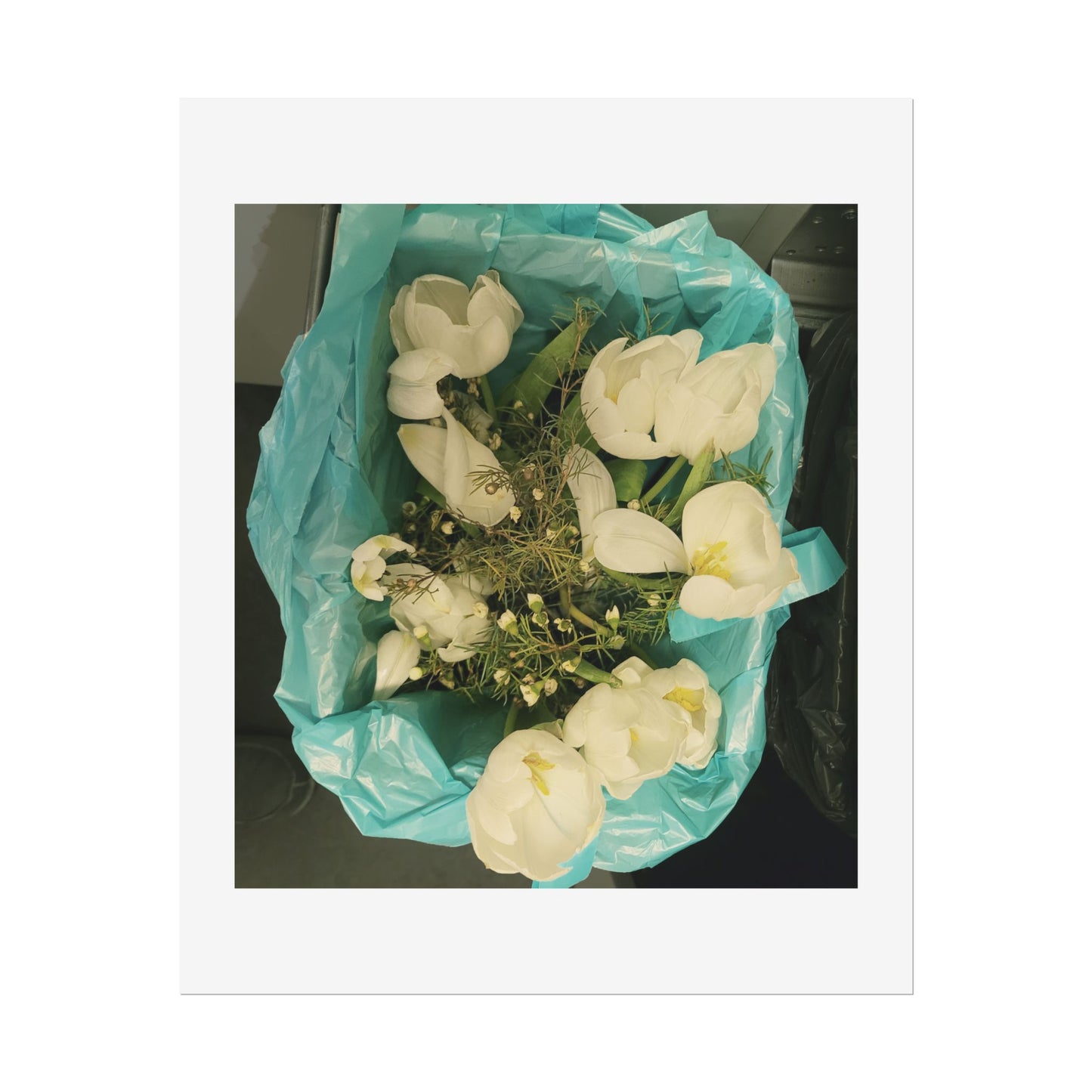 Botanical Rolled Posters, Floral Wall Art, Home Decor, Nature Decor, Gift for Flower Lovers, Unframed Prints