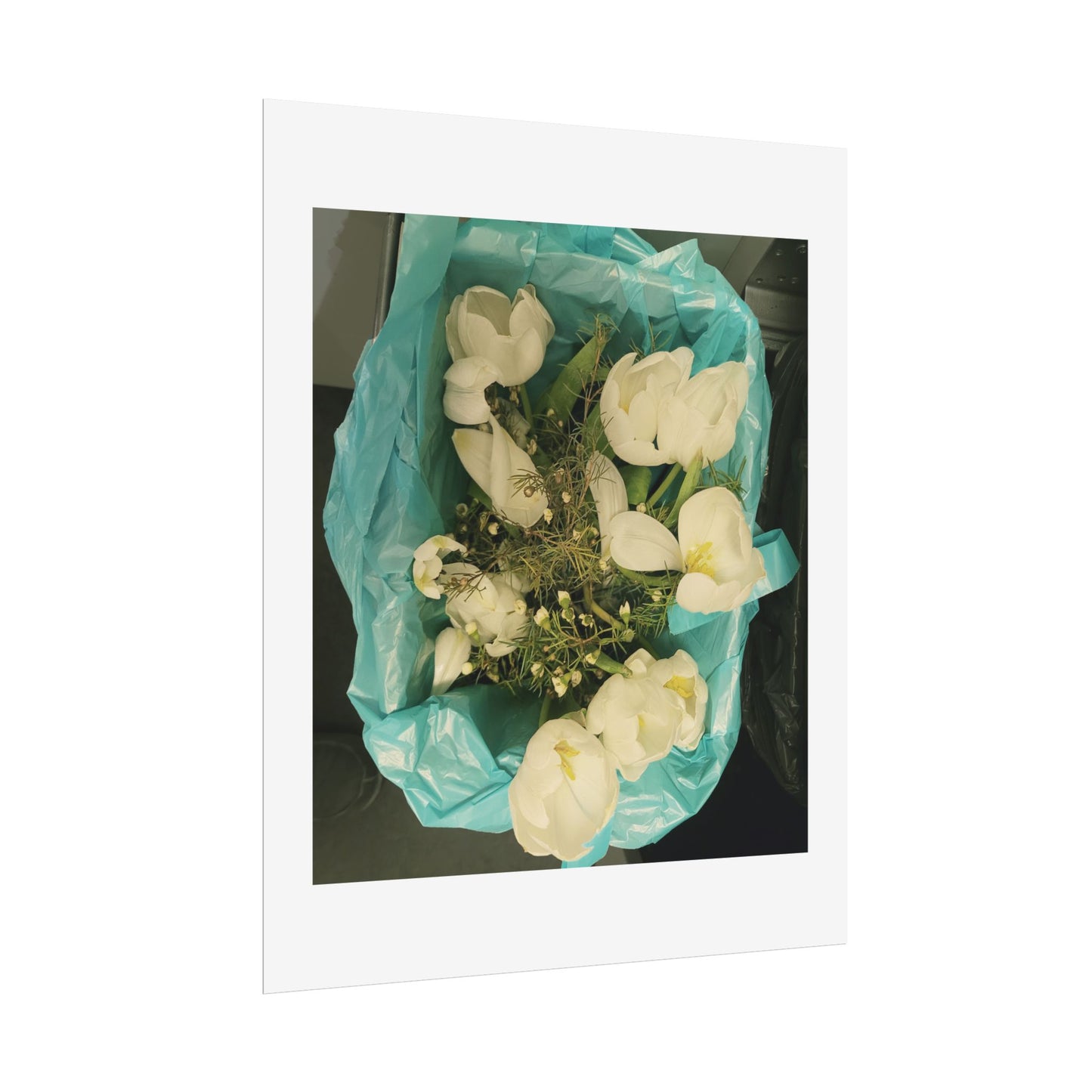 Botanical Rolled Posters, Floral Wall Art, Home Decor, Nature Decor, Gift for Flower Lovers, Unframed Prints