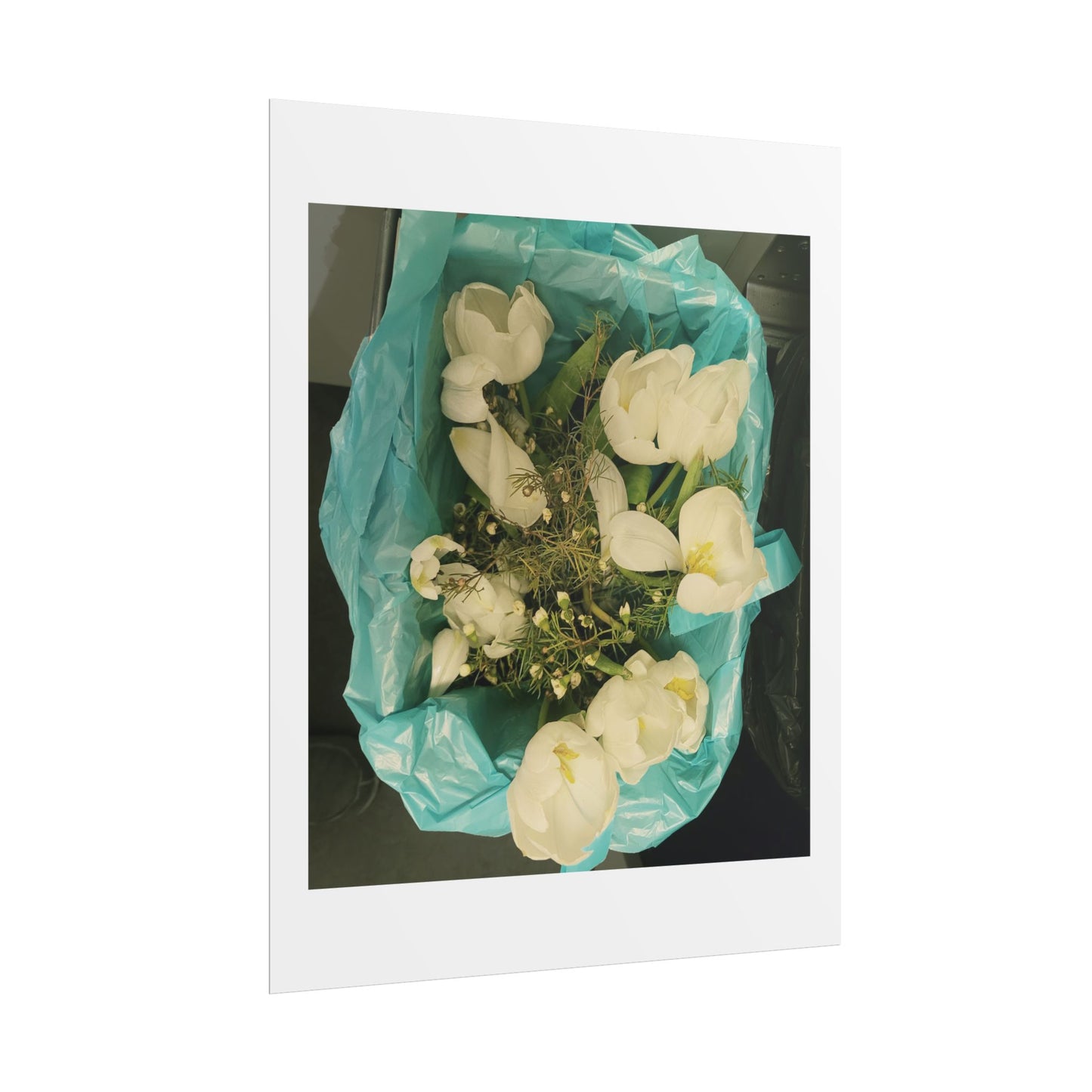 Botanical Rolled Posters, Floral Wall Art, Home Decor, Nature Decor, Gift for Flower Lovers, Unframed Prints