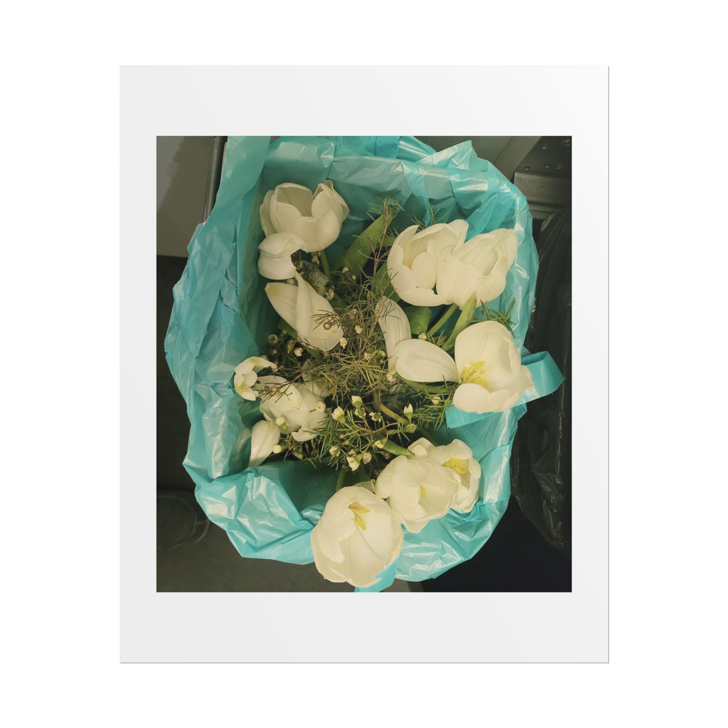 Botanical Rolled Posters, Floral Wall Art, Home Decor, Nature Decor, Gift for Flower Lovers, Unframed Prints