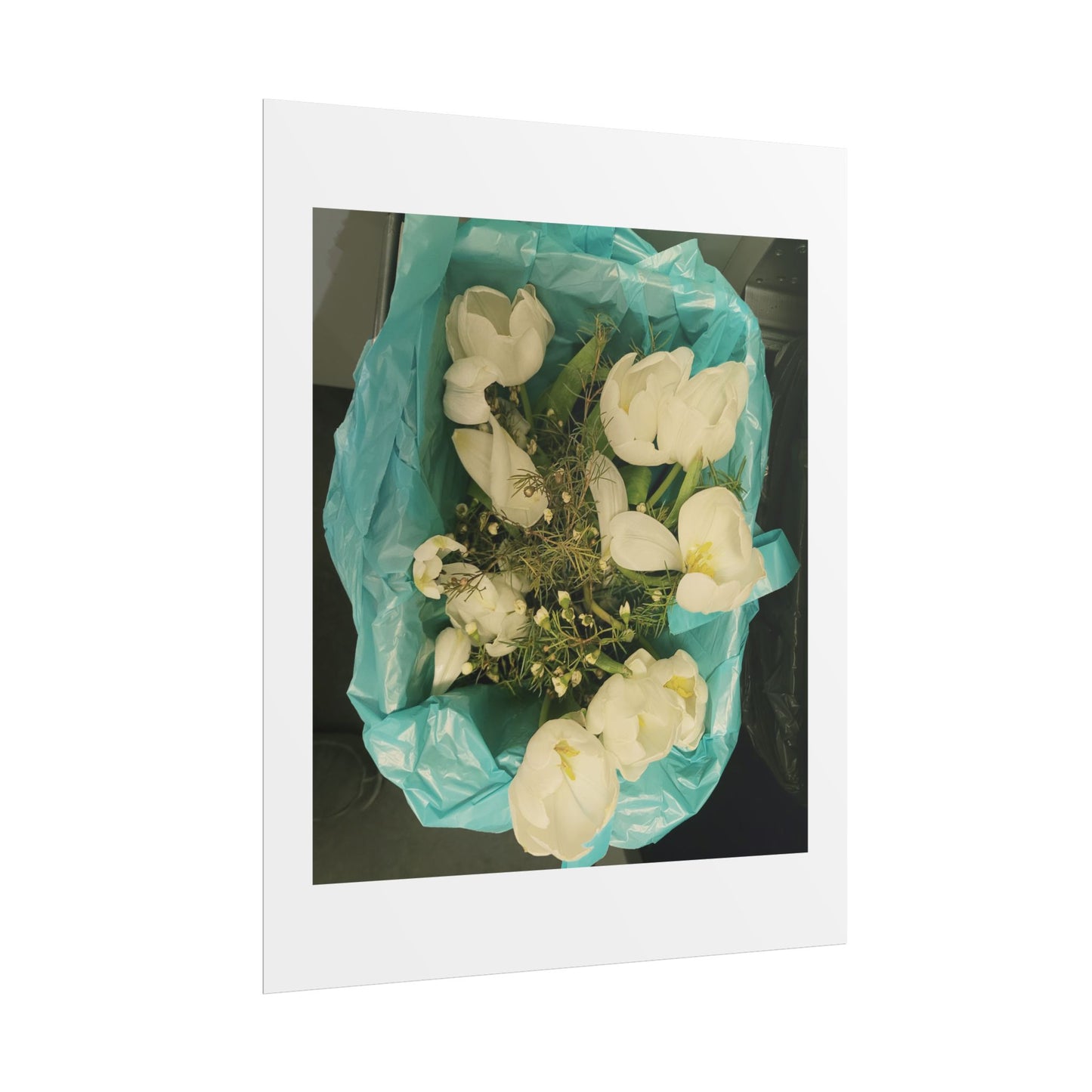 Botanical Rolled Posters, Floral Wall Art, Home Decor, Nature Decor, Gift for Flower Lovers, Unframed Prints