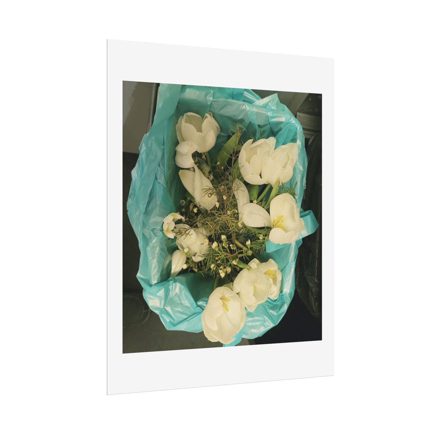 Botanical Rolled Posters, Floral Wall Art, Home Decor, Nature Decor, Gift for Flower Lovers, Unframed Prints