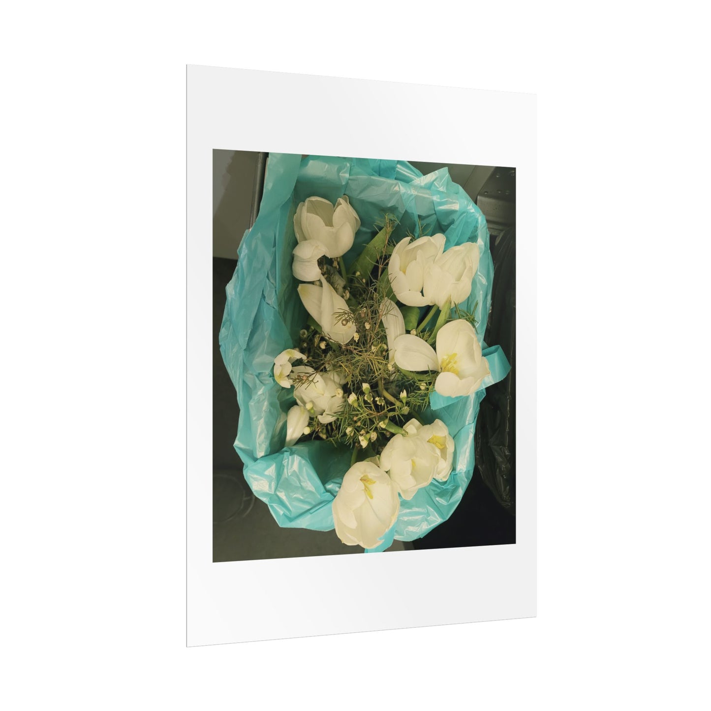 Botanical Rolled Posters, Floral Wall Art, Home Decor, Nature Decor, Gift for Flower Lovers, Unframed Prints