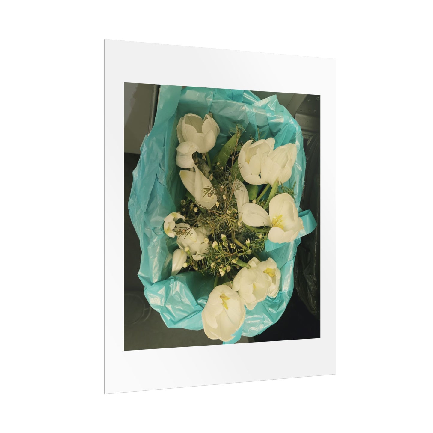 Botanical Rolled Posters, Floral Wall Art, Home Decor, Nature Decor, Gift for Flower Lovers, Unframed Prints