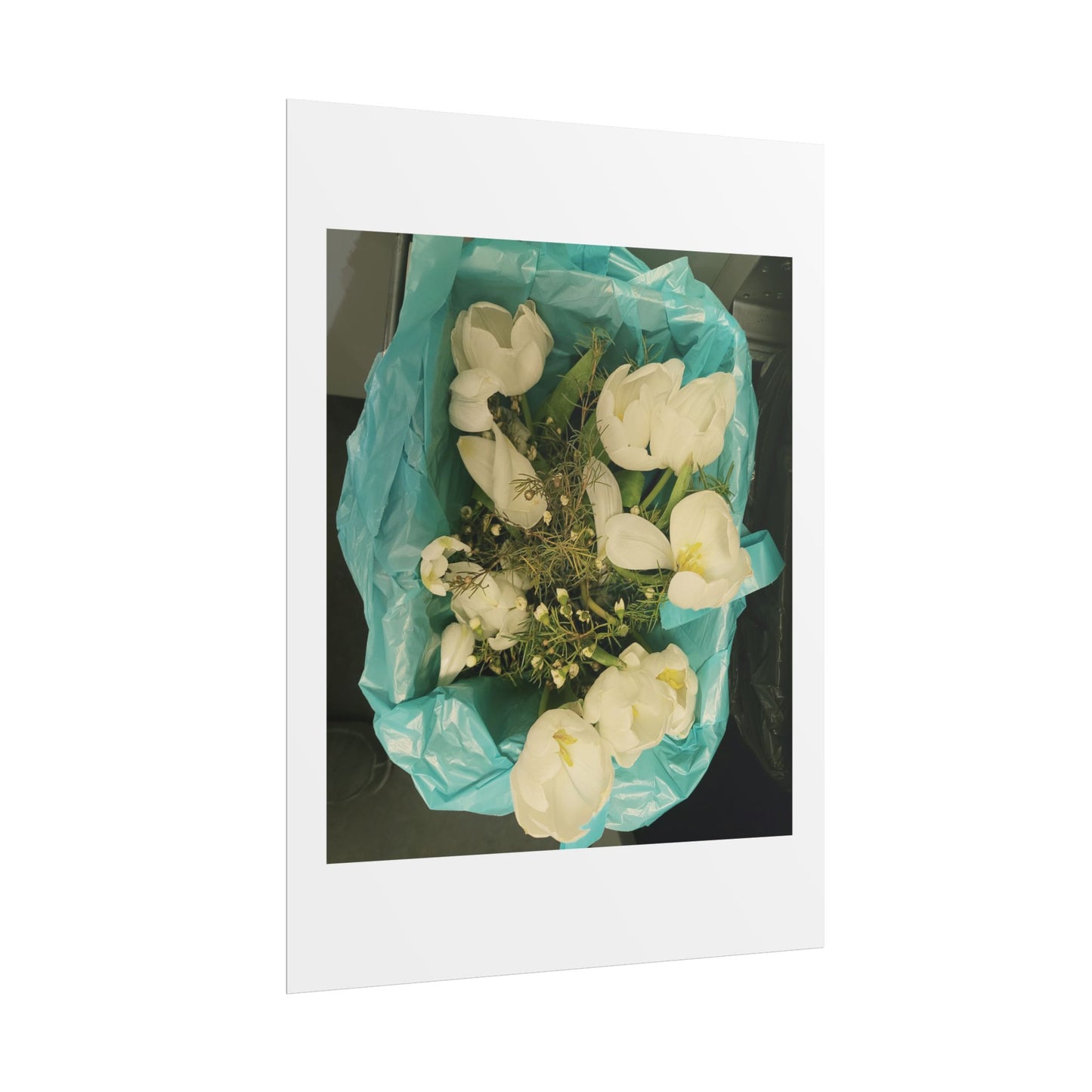 Botanical Rolled Posters, Floral Wall Art, Home Decor, Nature Decor, Gift for Flower Lovers, Unframed Prints